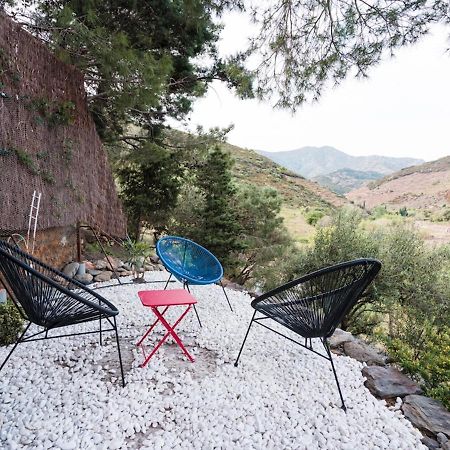 Maison F2 Independante Avec Terrasse, Climatisation Et Wifi A Banyuls-Sur-Mer - Fr-1-309-262 Ngoại thất bức ảnh